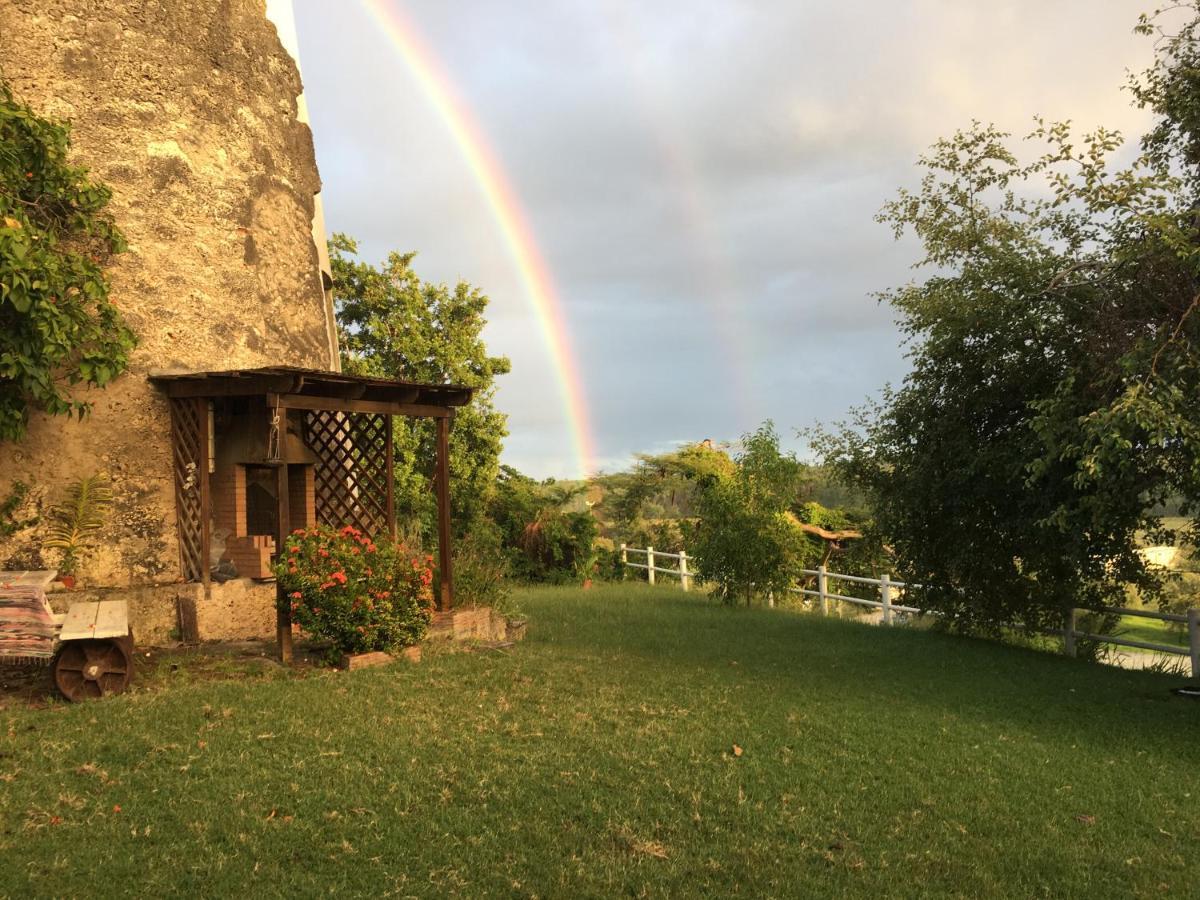 Villa Du Moulin De Saint Felix Le Gosier  Bagian luar foto